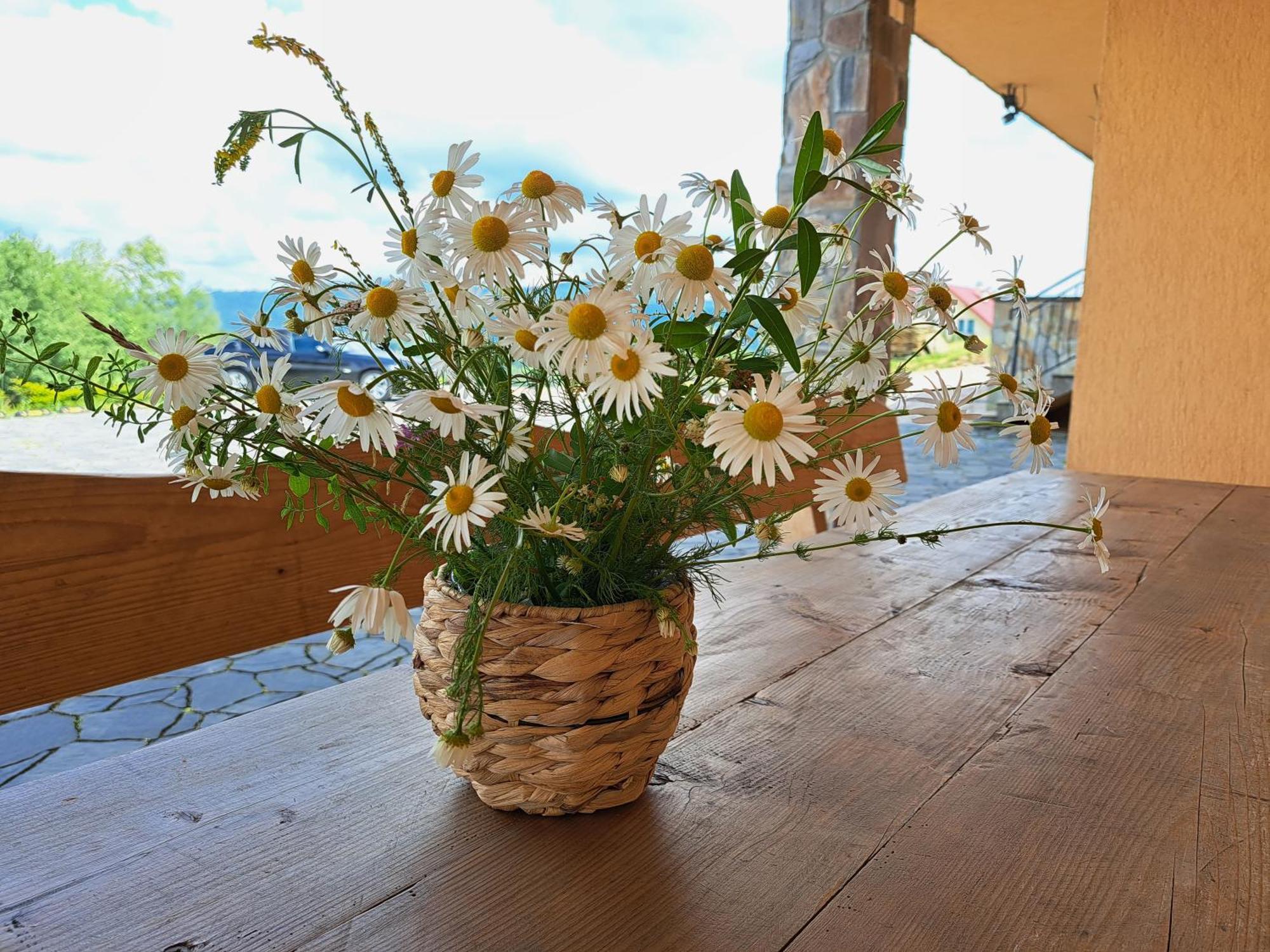 Diana- Z Panoramą Jeziora I Gór W Polańczyku Polańczyk