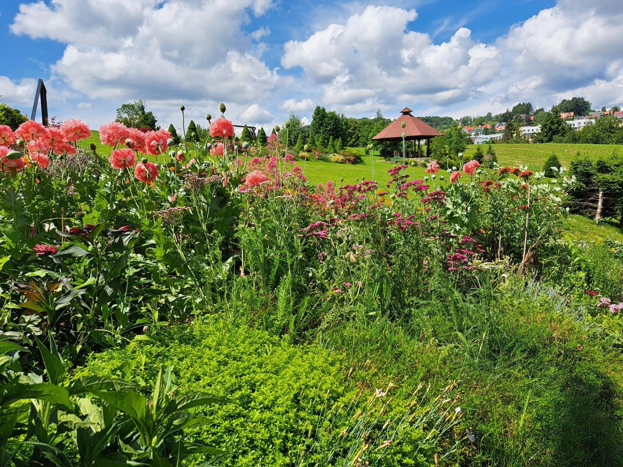 Diana- Z Panoramą Jeziora I Gór W Polańczyku *